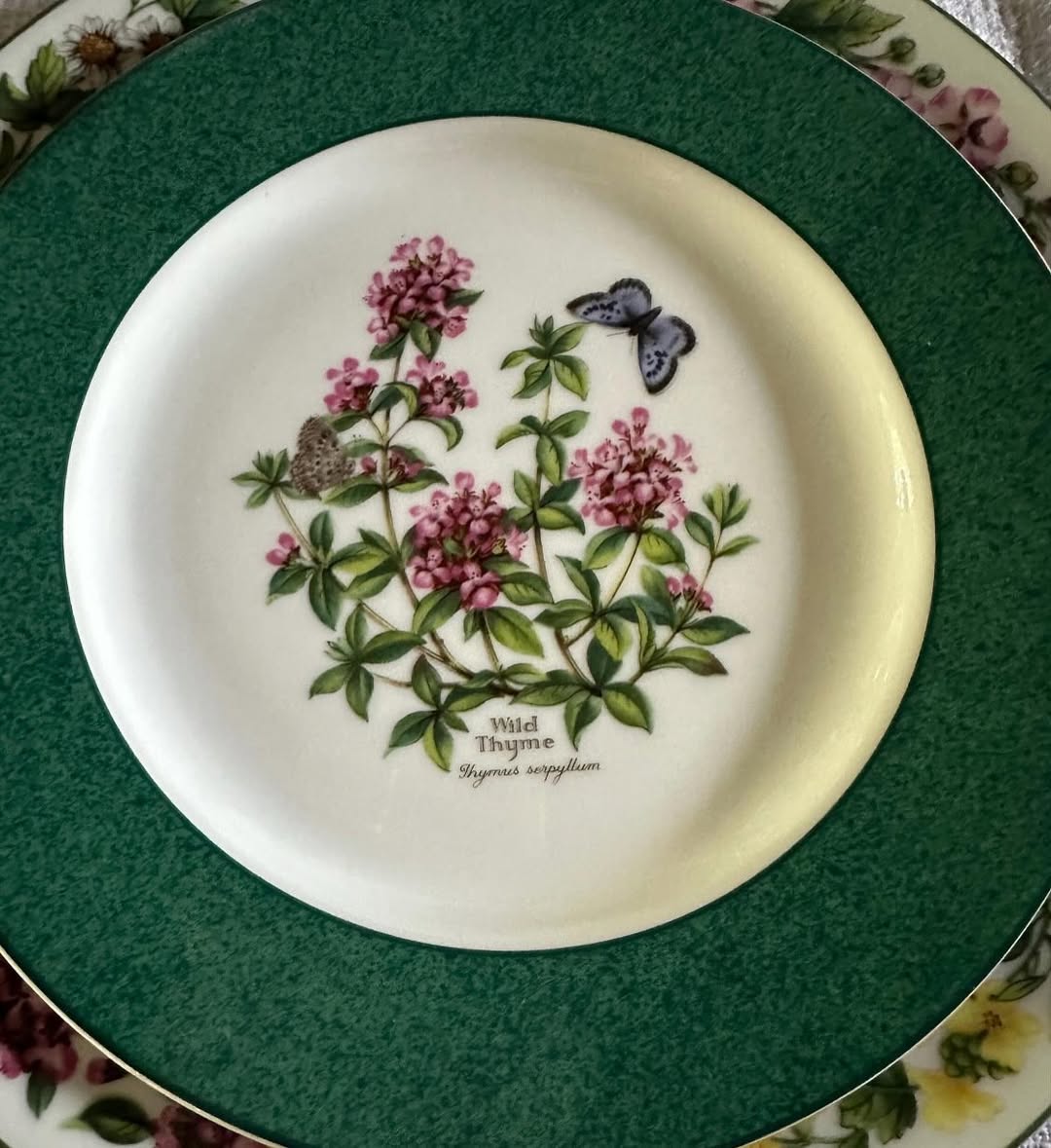 33-Piece Dinner Set - Royal Worcester Herbs Excellent condition - like new